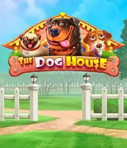 Pragmatic Play's The Dog House, offering a fun-filled journey into the world of charming canines. Enjoy gameplay elements such as free spins, perfect for providing exciting wins. Ideal for animal enthusiasts a lighthearted atmosphere and the opportunity to win big.