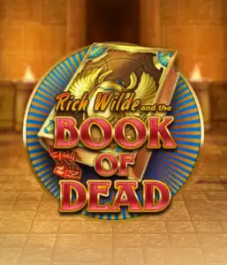 Dive into the thrilling world of Book of Dead Slot by Play'n GO, presenting vivid graphics of Rich Wilde's journey through ancient Egyptian tombs and artifacts. Discover lost riches with captivating mechanics like free spins, expanding symbols, and a gamble option. Ideal for adventure enthusiasts with a desire for exciting finds.